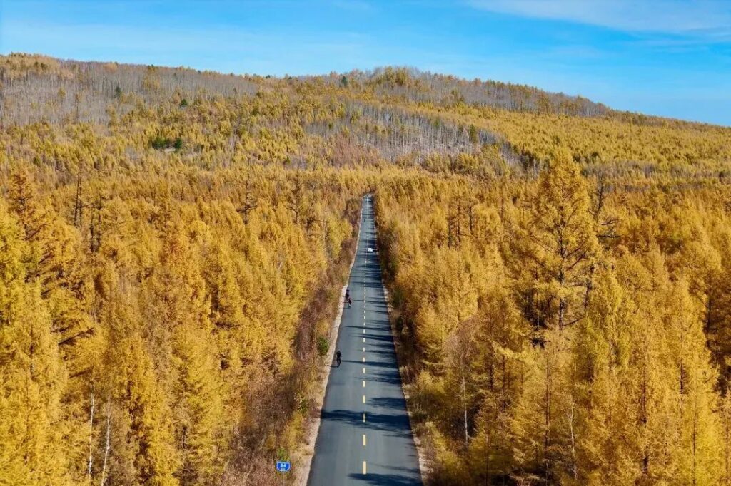 Cycle from Mohe
