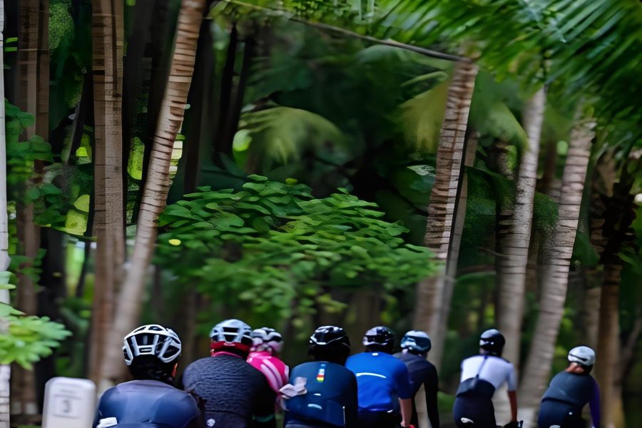 6 Day 5 Night Hainan West Coast Cycling: 472 km of Scenic Beauty