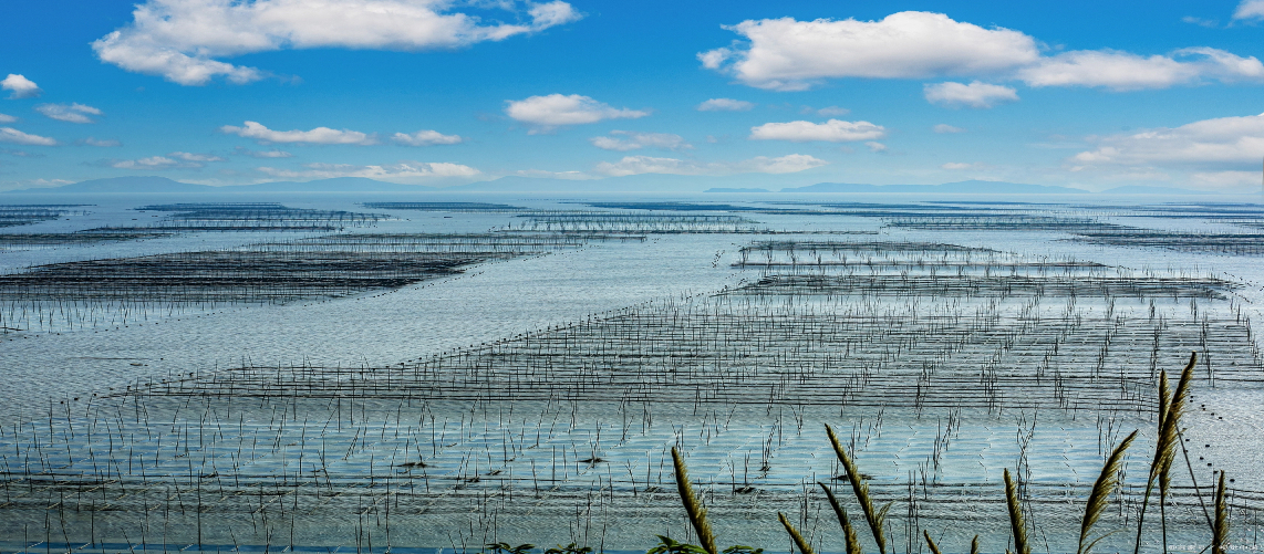 Hainan Island China Travel Guide