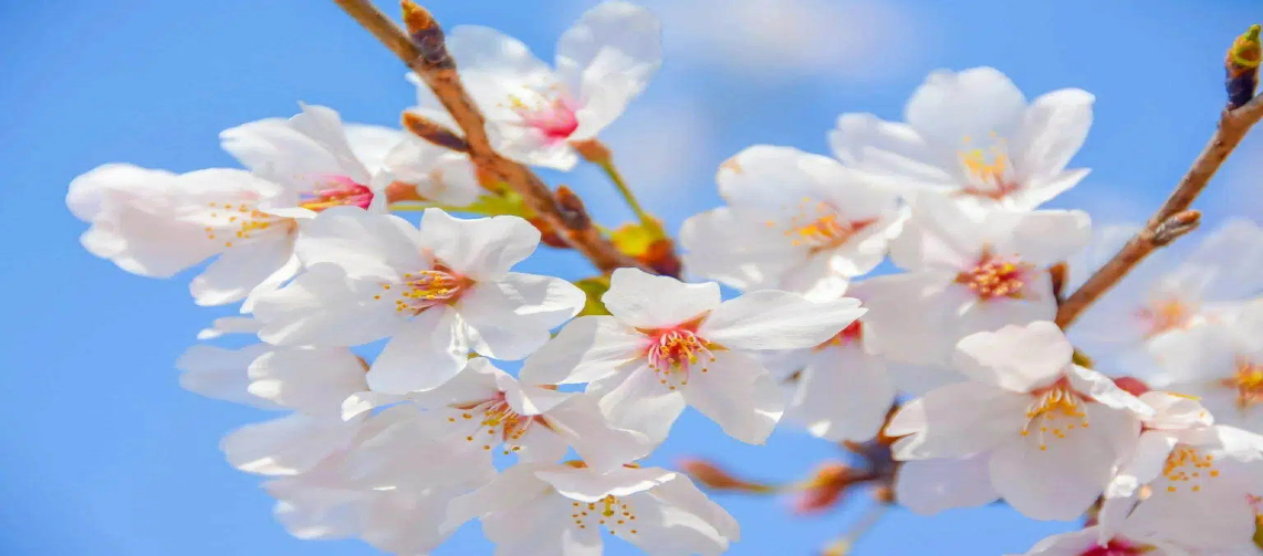 Hainan Island China Travel Guide