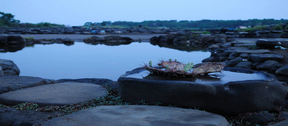 Hainan Island China Travel Guide