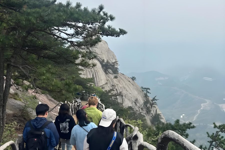 4天3晚海南自然奇观之旅： 探秘保亭热带雨林&悠享三亚阳光海岸.