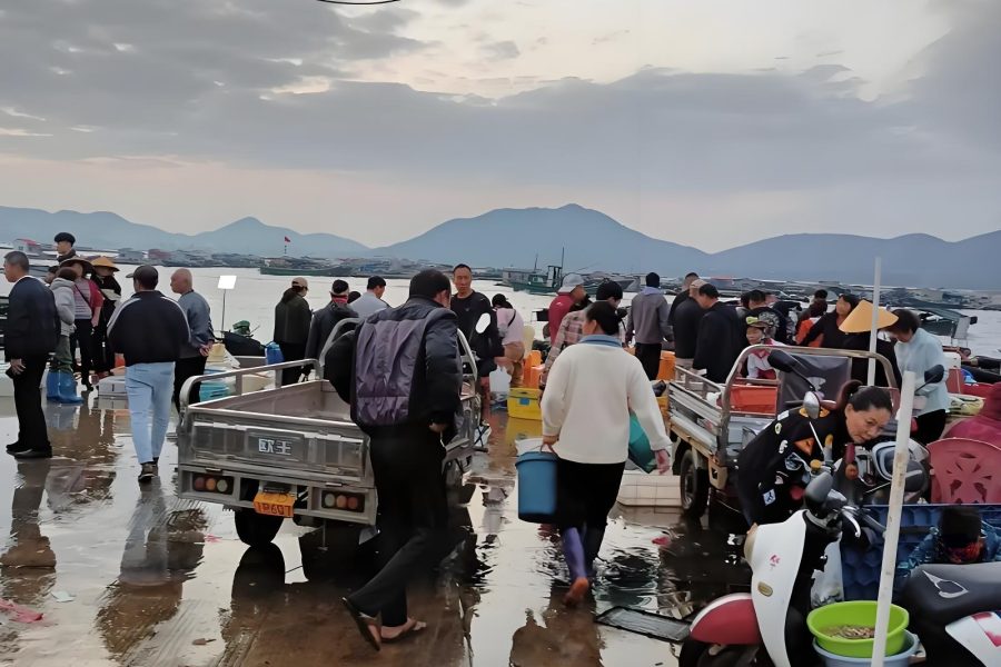 Sanya Hainan Authentic Fishing Village Tour with Seafood Lunch & Beach Time