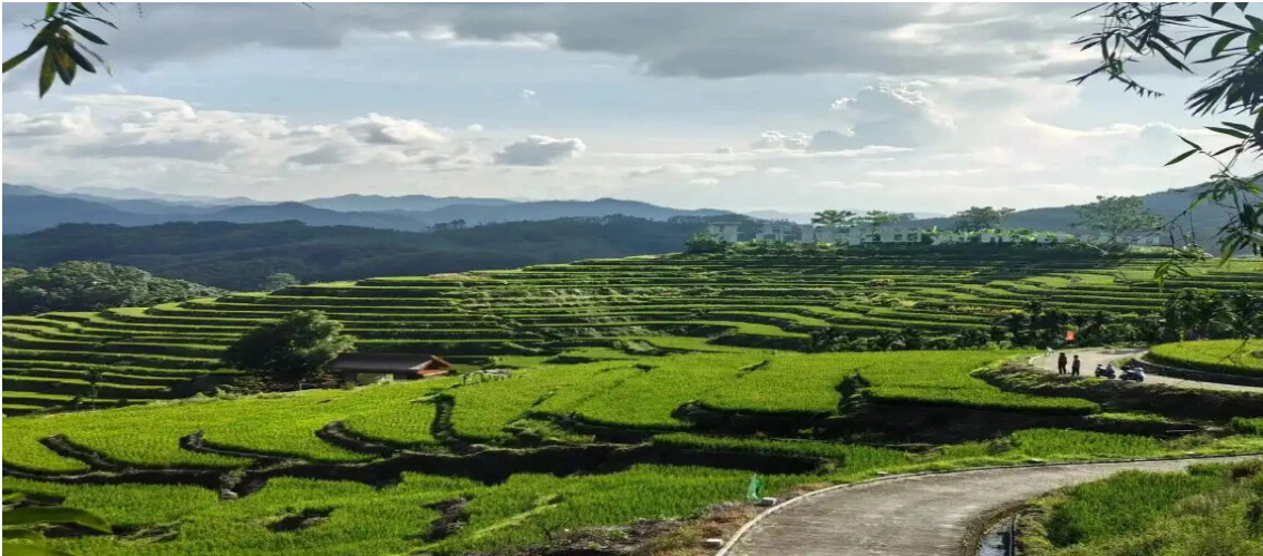 Hainan Island China Travel Guide