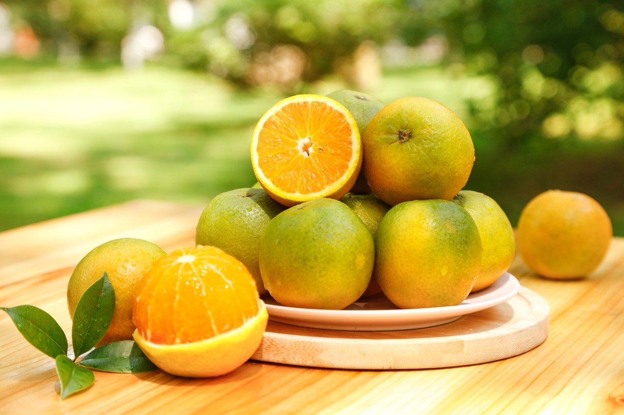 Hainan Island China Travel Guide