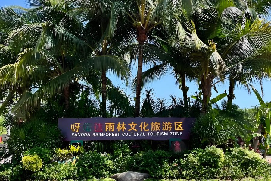 4天3晚海南深度快游：探索保亭热带雨林自然奇观，畅享三亚黄金海岸悠然假，定制您的专属行程.