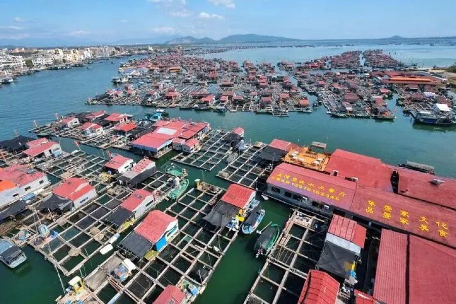 Tour to Hainan Local Fishing Village Lingshui & Xinglong Botanical Garden