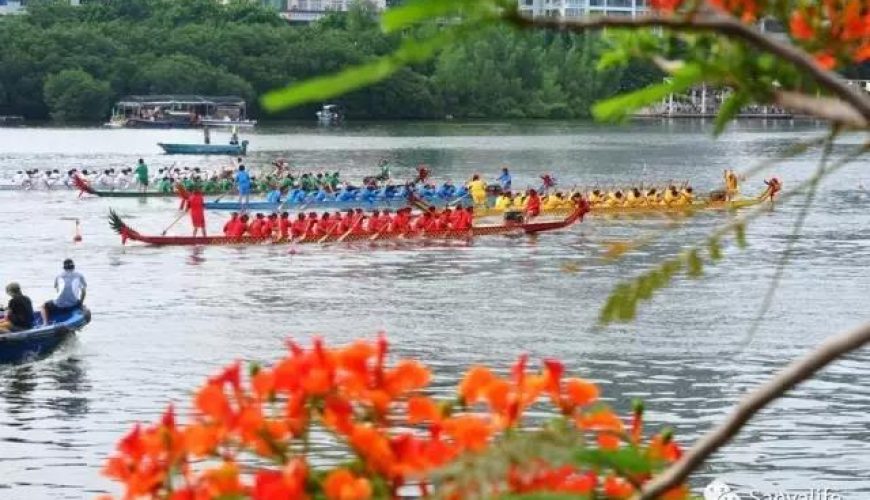 Dragon Boat Race