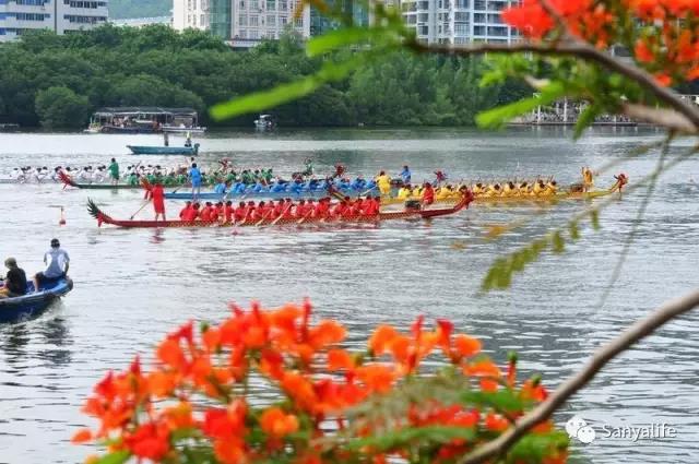 Dragon Boat Race