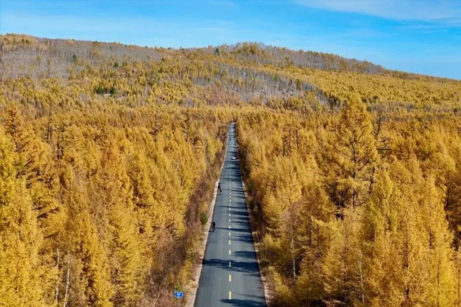 Cycle & Explore: A 8-Day Adventure Along China-Russia Border from Mohe to Manzhouli