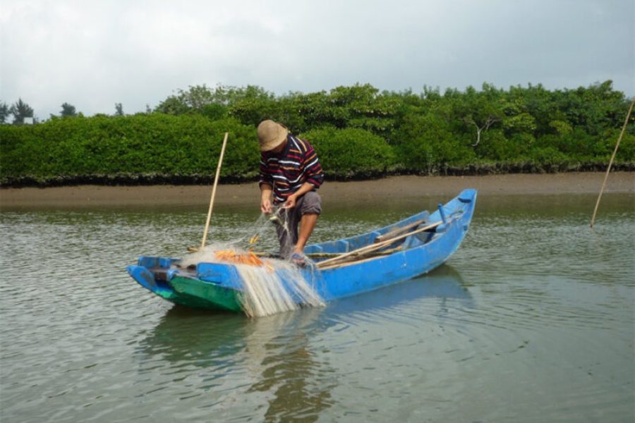 Haikou Dongzhai Harbor National Nature Reserve Hainan Island