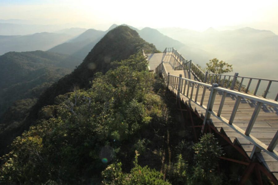 Jianfengling National Park Hiking Ledong Hainan3