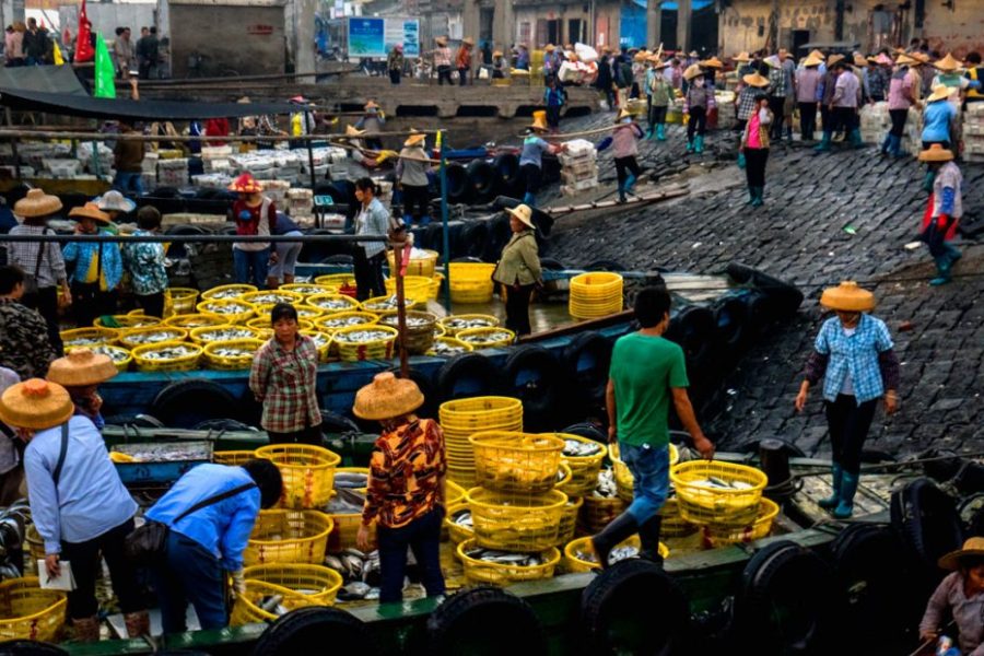 baimajing fishing port