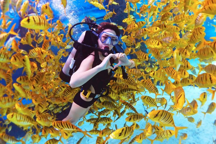 diving with fishes in Sanya